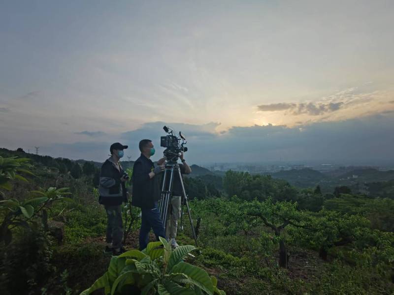 创意破圈！舞钢市电商产品宣传视频用故事化叙事引爆流量