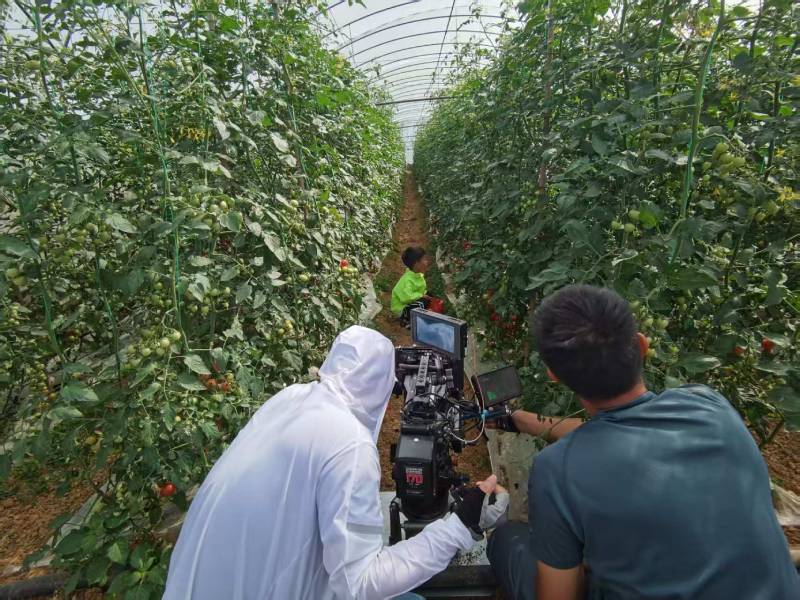 舞钢市产品宣传视频拍摄公司进阶指南，助力品牌抢占传播高地